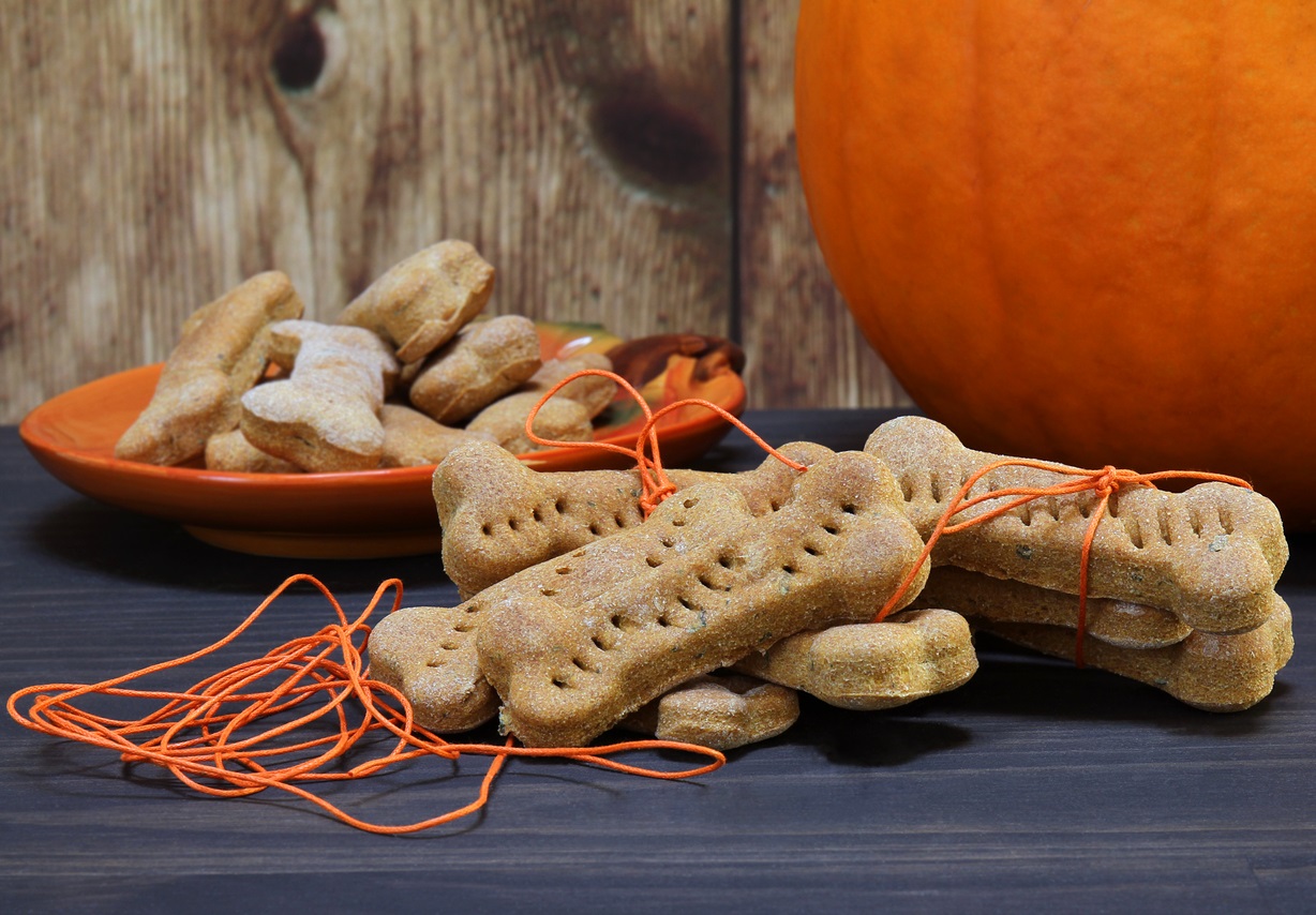 Homemade dog treats sitting on a counter, with orange string surrounding the treats. In the background, slightly out of focus additional treats on an orange plate and a pumpkin are visible. 