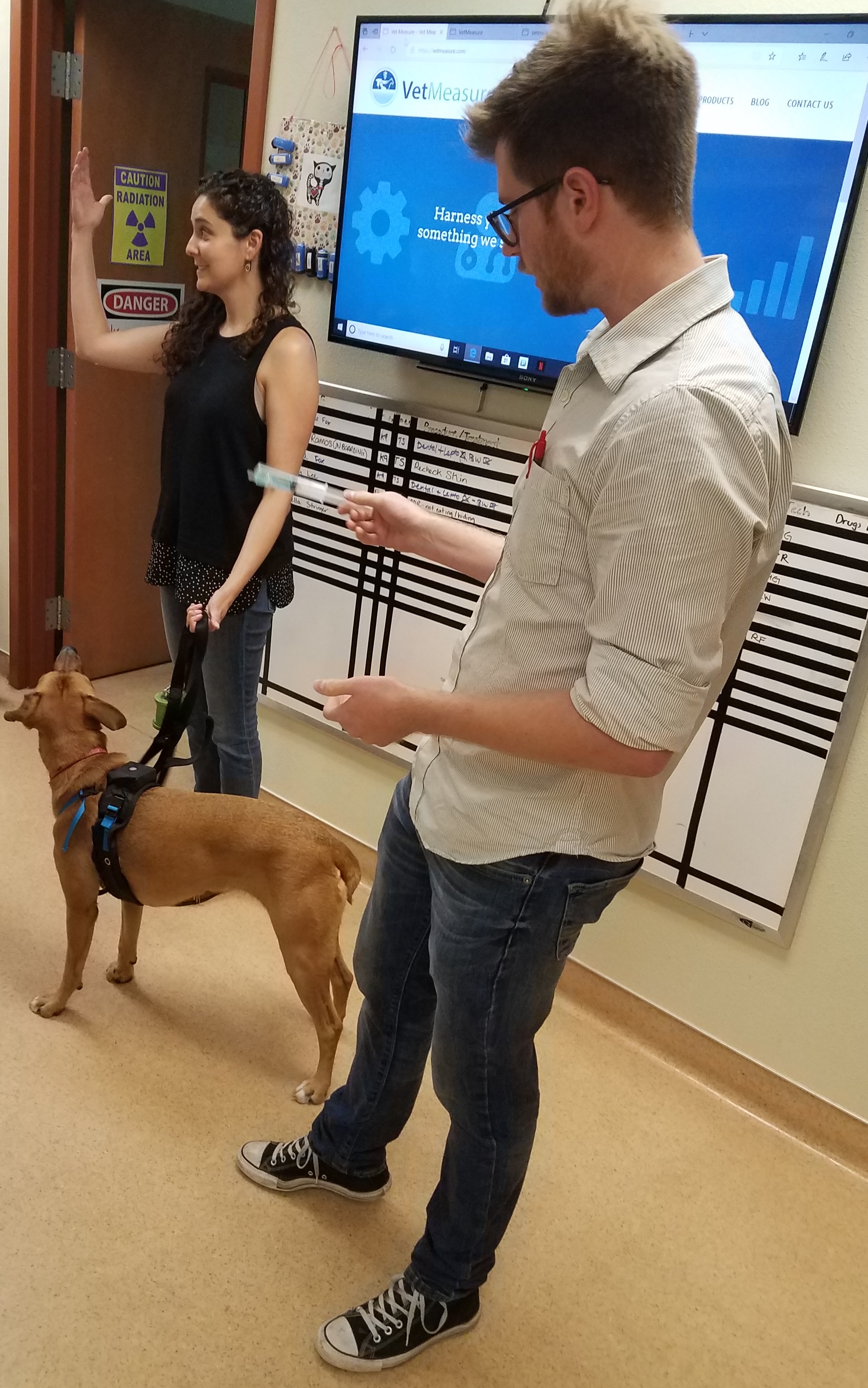 Two VetMeasure representatives standing in front of a TV presenting the VetMeasure website. A dog is standing in front of the female representative. 
