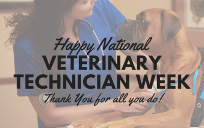 Happy Veterinary Technician Week!