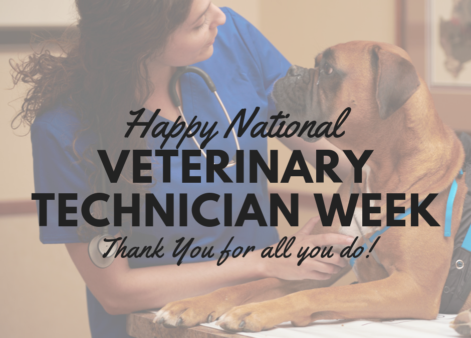 Happy Veterinary Technician Week!
