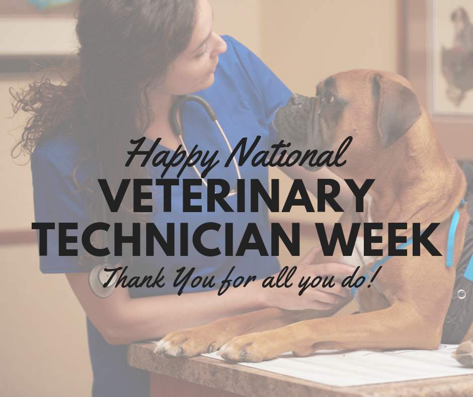 Happy Veterinary Technician Week VetMeasure