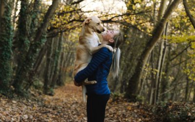 5 Ways Celebrate Valentine’s Day with Your Pet