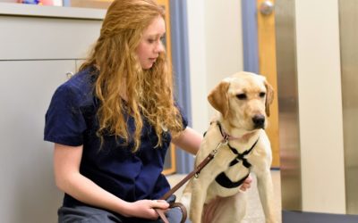 How Education Has Changed For Vet Student During COVID