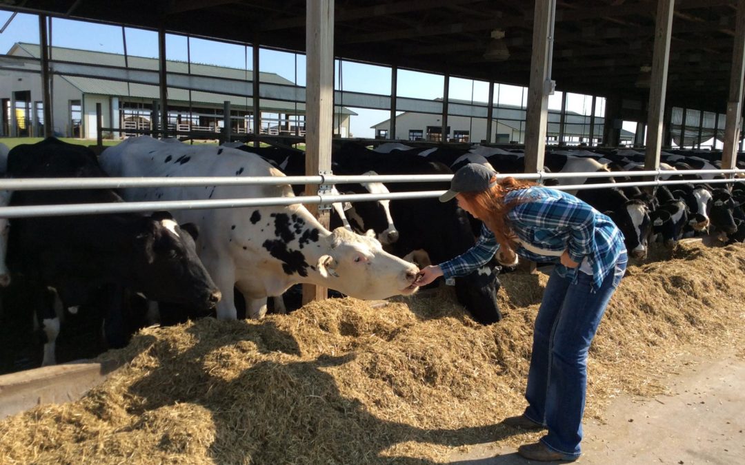 A day in the life of an Animal Science Student During COVID