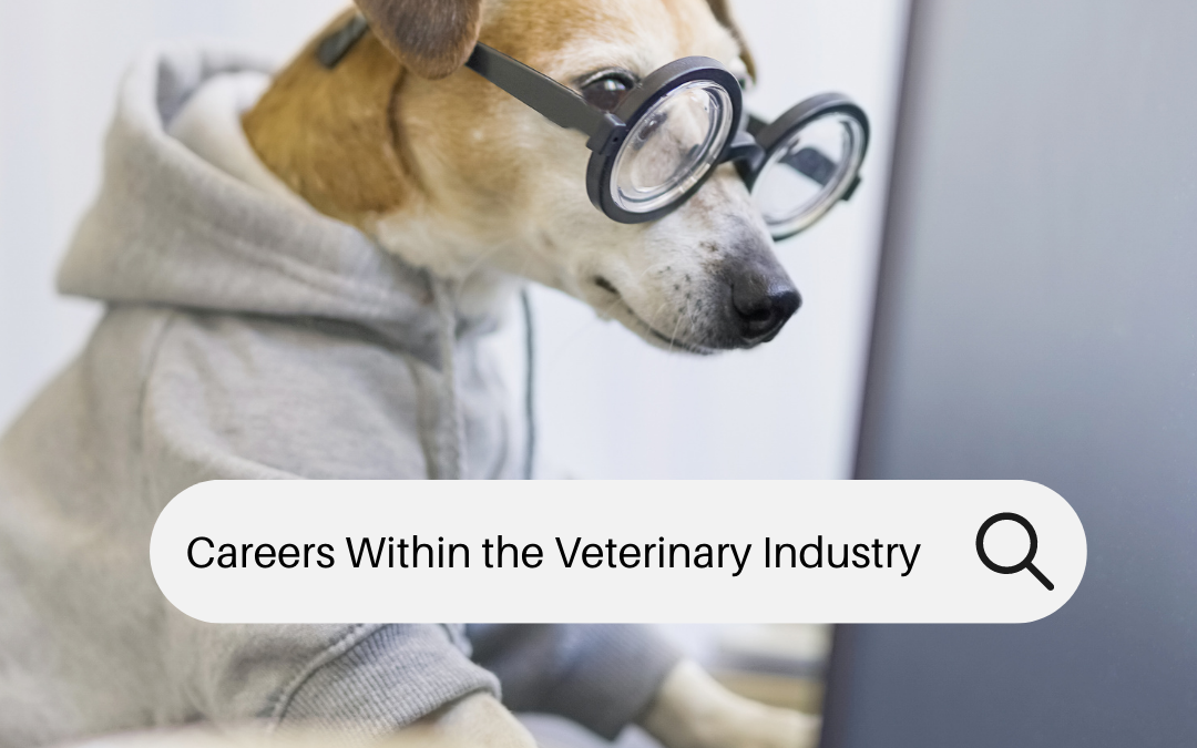 Careers within the Veterinary Hospital