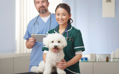 Five Freebies for Veterinary Students