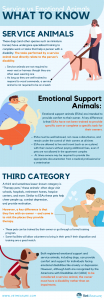 Infographic for Service, Emotional, and Third Category Blog