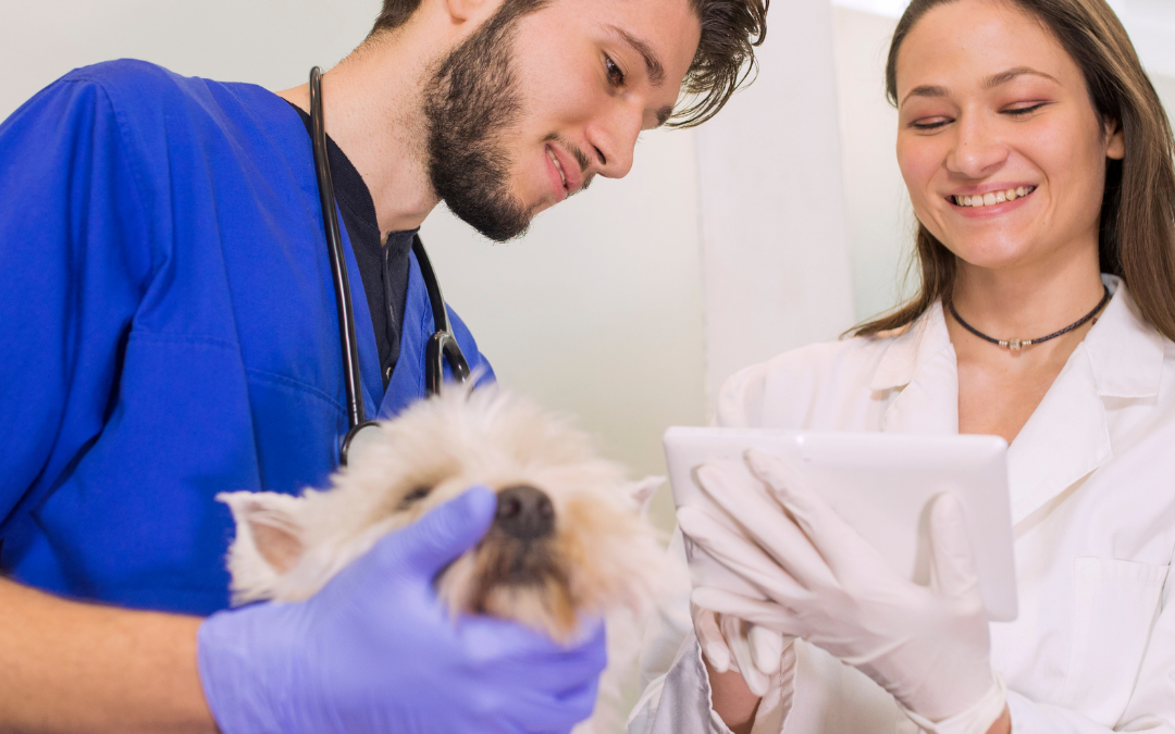 What’s New in Veterinary Medicine?