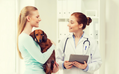 Spring 2022 CE Courses for Veterinarians