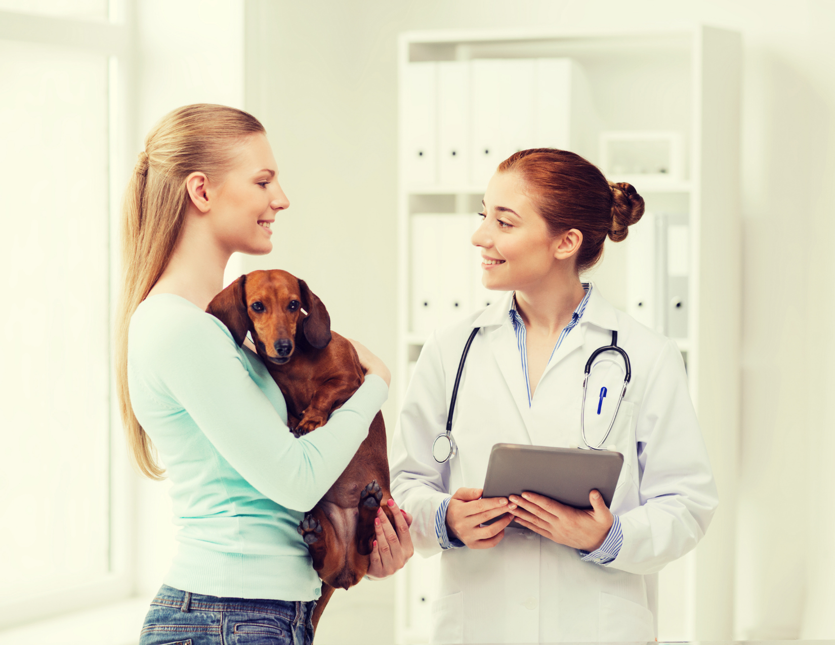 Early 2022 CE Courses for Veterinarians