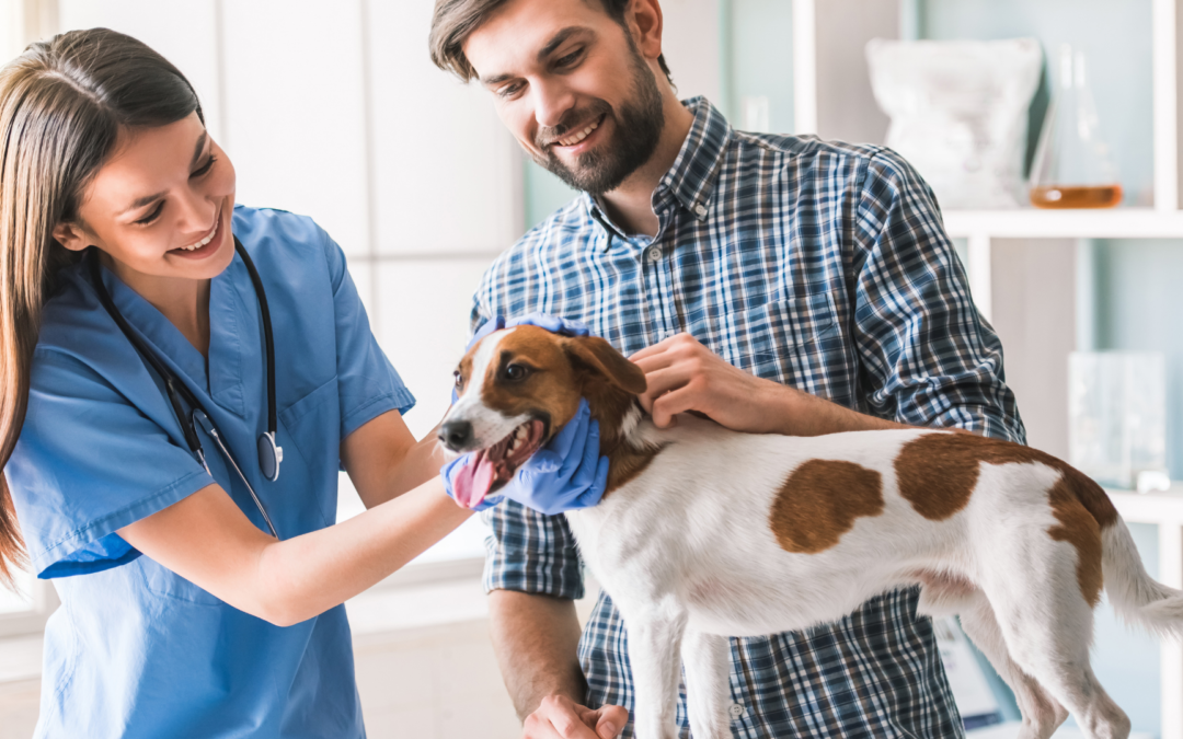 Veterinary-Client-Patient Relationship Today
